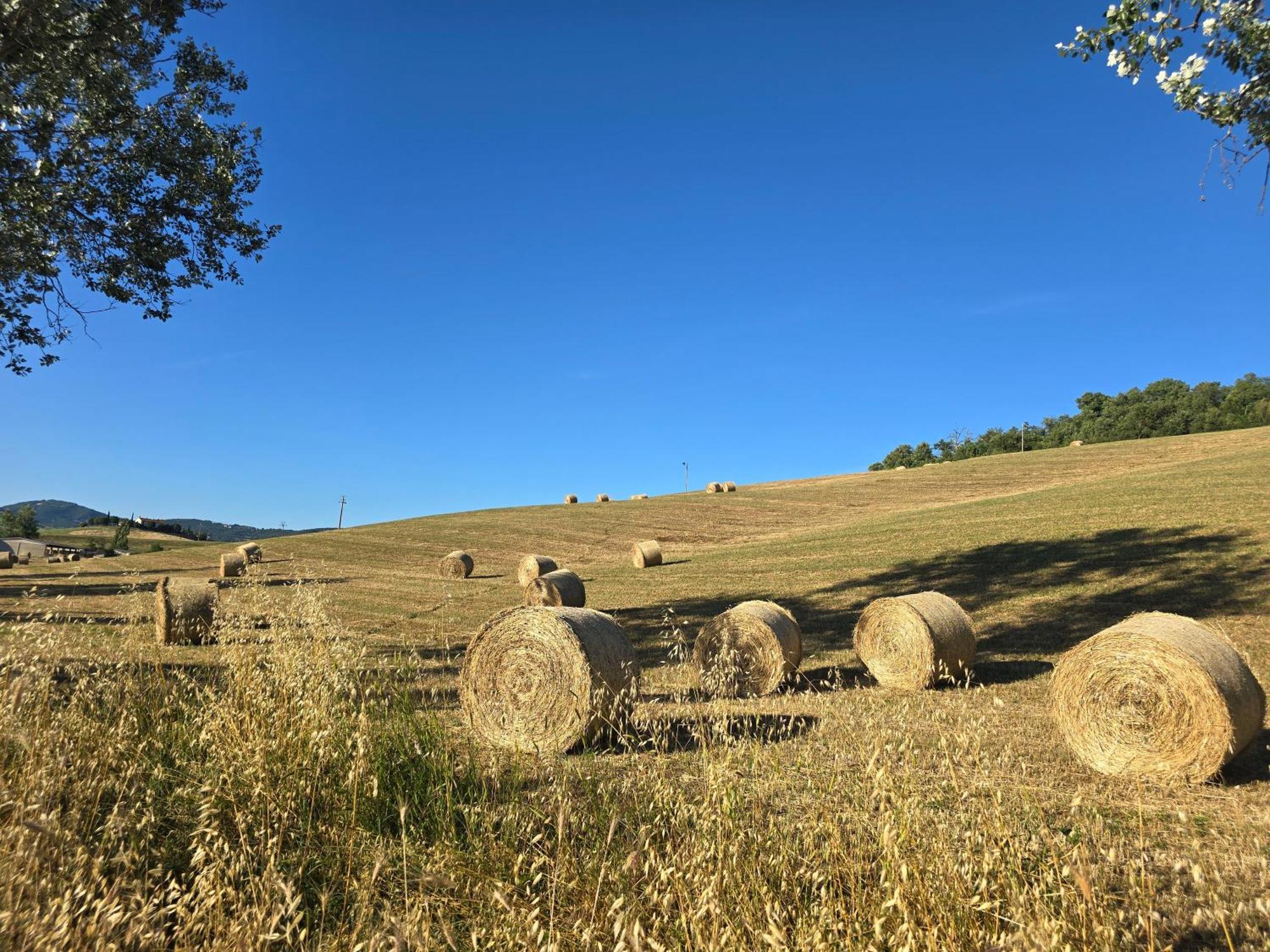 Villetta Pia Contignano Экстерьер фото